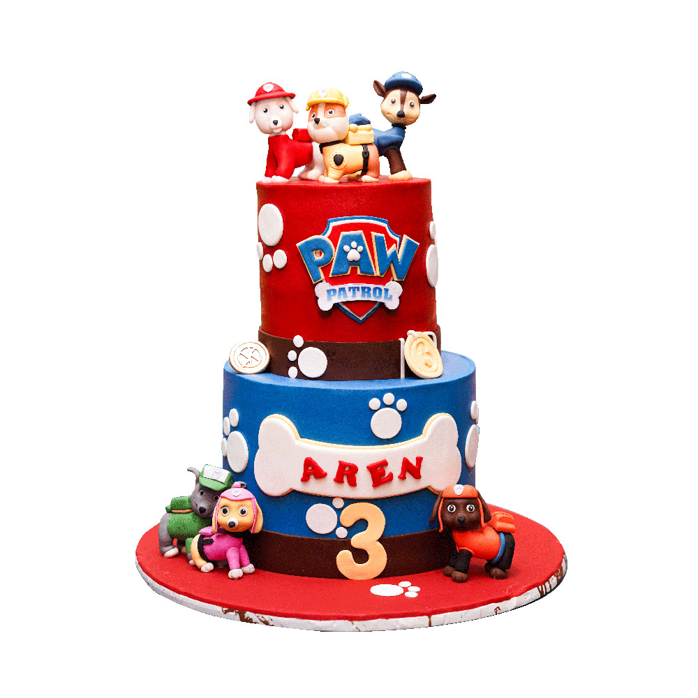 Paw Patrol Theme Cake
